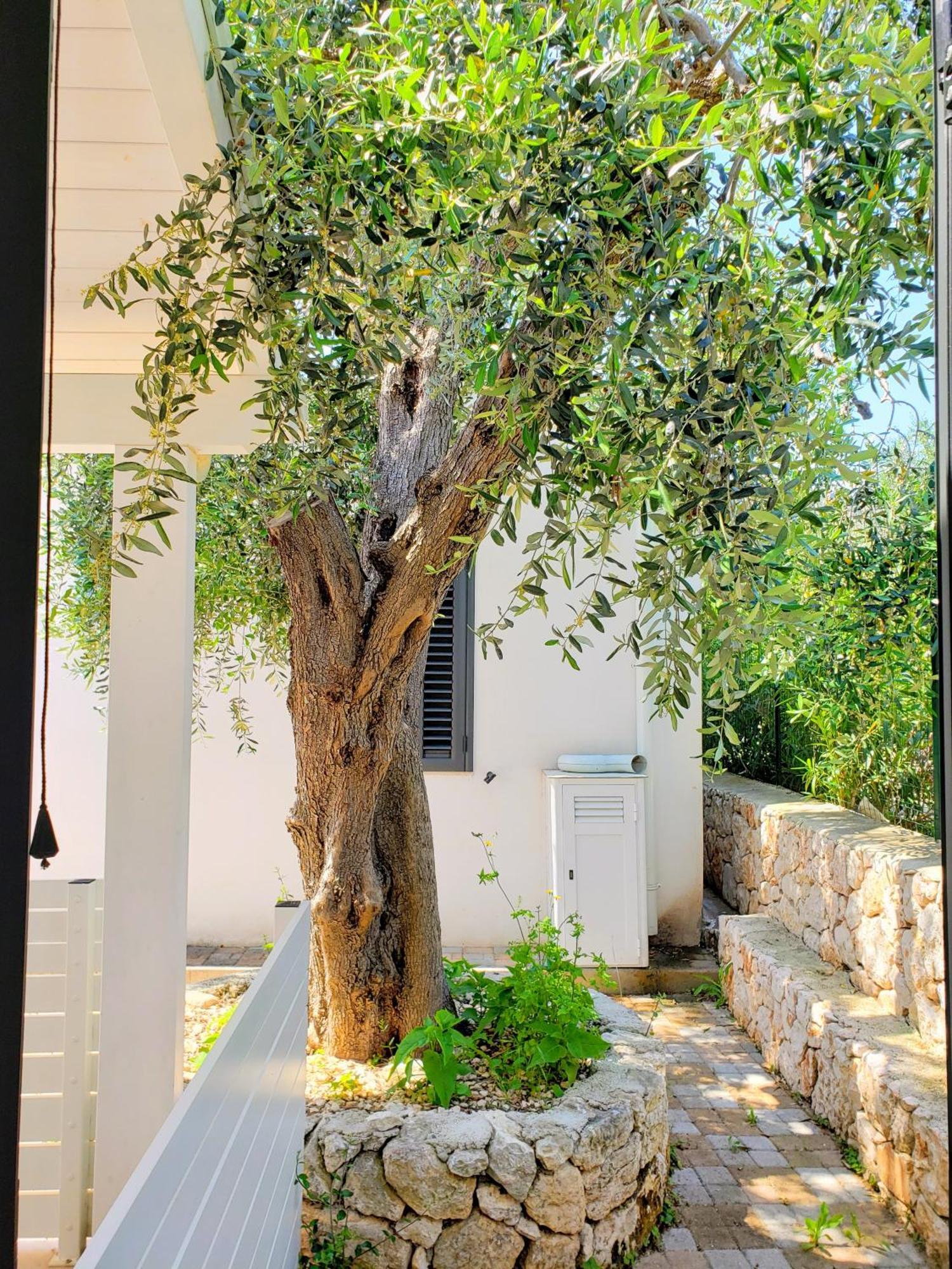 Gargano-manfredi Homes&villas Apartment *