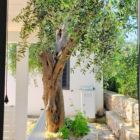 Gargano Country House I Mattinata Esterno foto